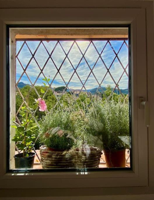 Appartement Fisherman's House With Sea Views Collioure